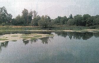 Река Клязьма в районе Успенска