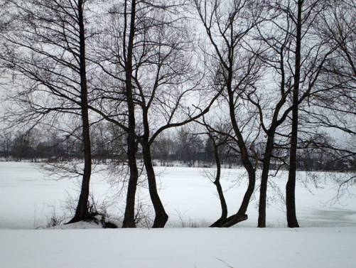 Озеро Данилищево в зимний пасмурный день. 