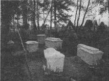 Надгробия на кладбище д. Беливо. Современное фото