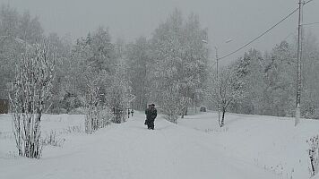 Времена года. Пришла зима. Сретение 2009 