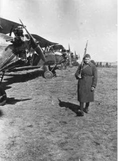 Самолеты У-2 692-го полка на аэродроме в Ногинске