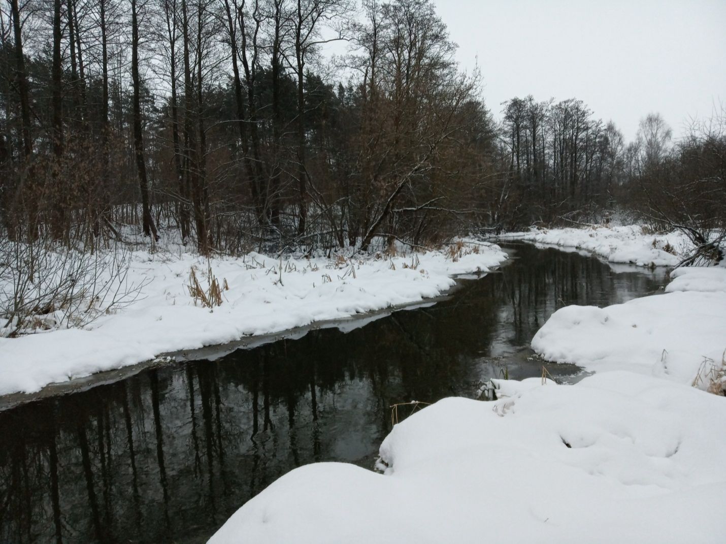 Место на речке Шаловке, где некогда был мост 