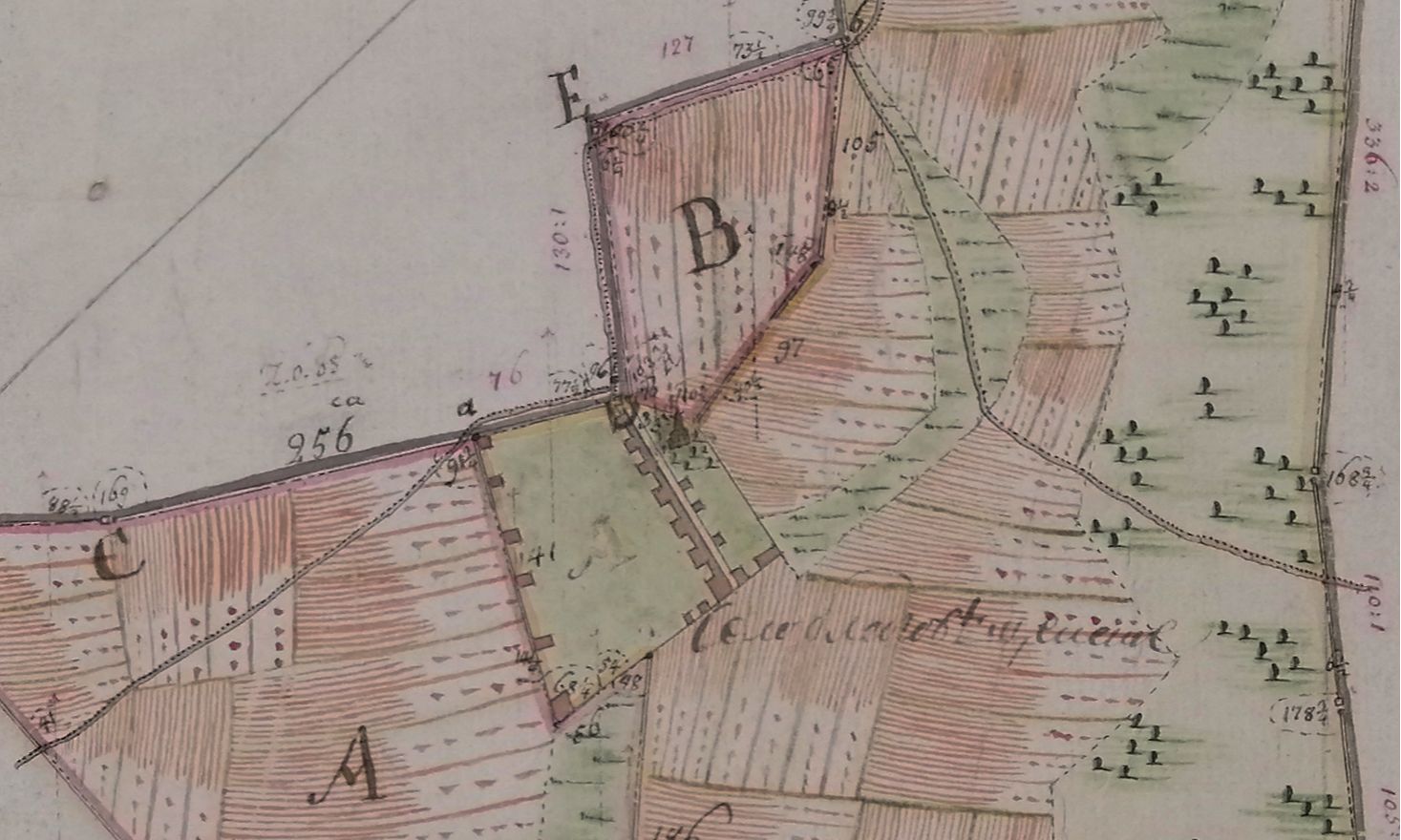 Фрагмент карты села Благовещенского плана генерального межевания 1773 года