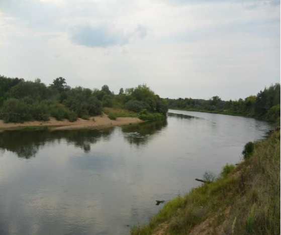 Река Клязьма около п. Городищи.