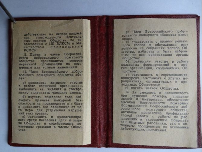 Значок и членский билет ВДПО 1967 г.