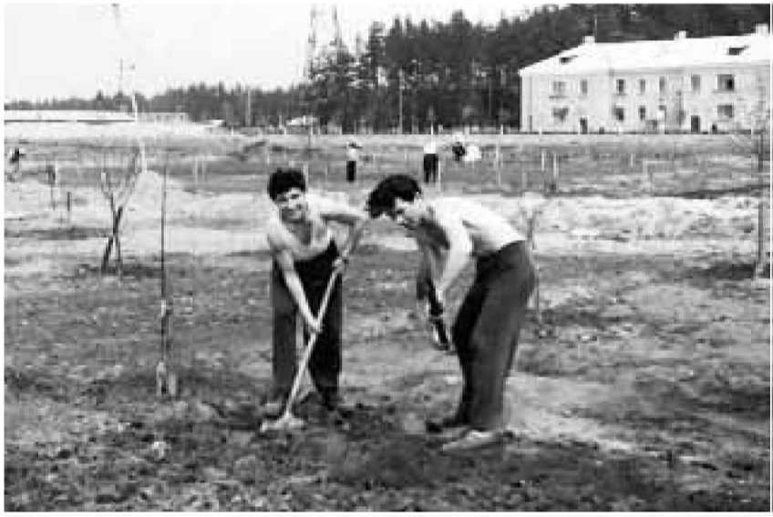 Константин Константинович и брат жены сажают первый свой сад в Черноголовке.1959 г.
