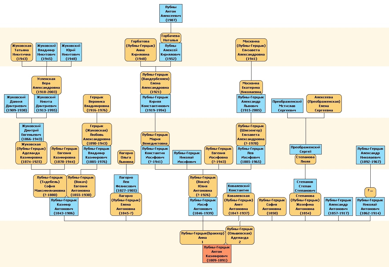 Лубны-Герцыки. Родословная схема 