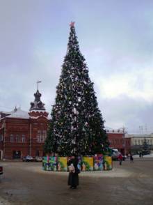 Этой зимой Владимир был замечательно украшен иллюминацией, новогодними елками, а на Соборной площади стояли вот такие снежные фигуры князей, былинных богатырей. 