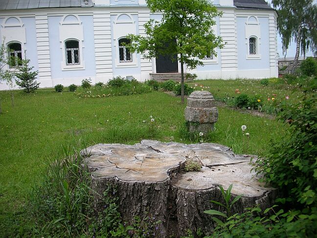 К истории церкви Святителя Николая Чудотворца (возле д. Васютино Павлово-Посадского района). Дереву было не меньше 300 лет 
