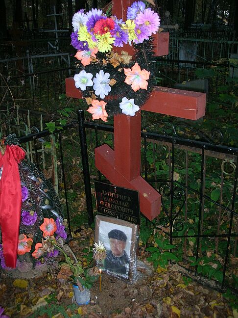 Могила Николая Фёдоровича Дмитриева в Покрове